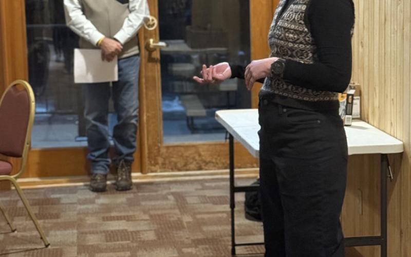 Then Town Administrator candidate Elizabeth Stuffings giving an introduction speech to the community at candidate's night last month photo by DeAnne Gallegos