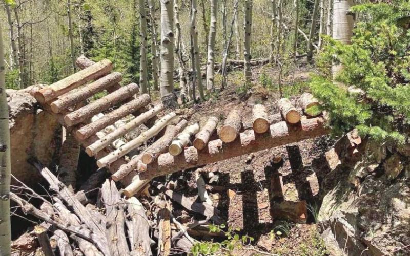 Vandalized Bridge Photo Credit - Silverton Chamber of Commerce