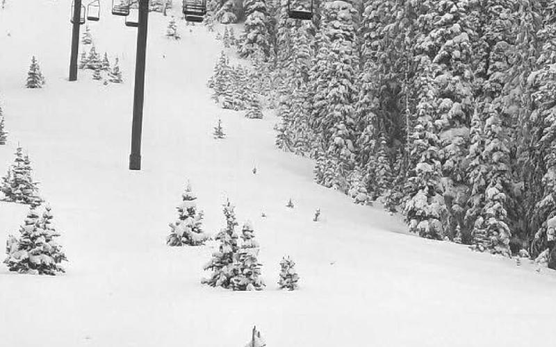 Those in search of powder