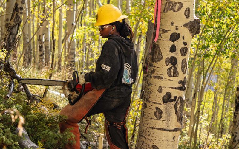 Crew members from SCC helped with sawyering and hand work.