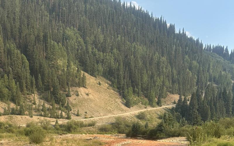 Animas River along local trail Aug 07 2025, 5pm. Photo by Silverton Standard