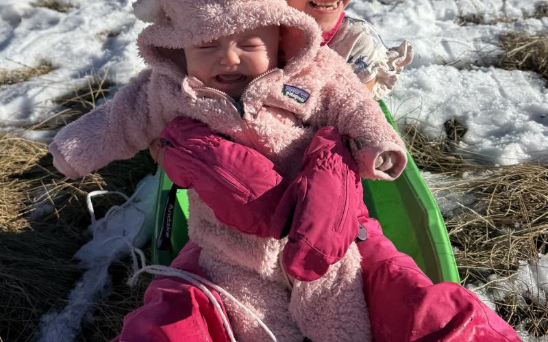 A different type of sledding this year in Silverton, but still fun for Ava Andrade and (sorta fun) for little sister Saoirse Photo by Katey Fetch
