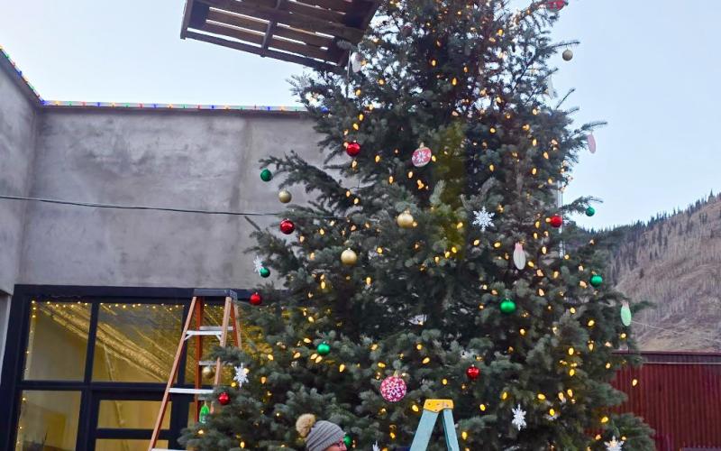 photo by JP Stanley JP Stanley and Kim Maisch took on the challenge with a group of friends to put up a large Christmas tree on Greene St &amp; 10th for the Holiday Season. Kim, seen here decorating the two-story tree