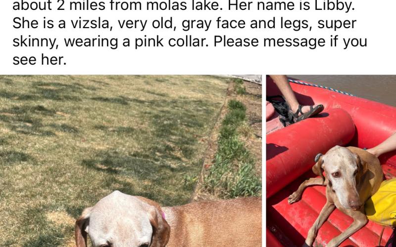 Original Social Media Post made by the Clark Family when Libby went missing on Sunday June 29th. Photo credit Taylor Clark