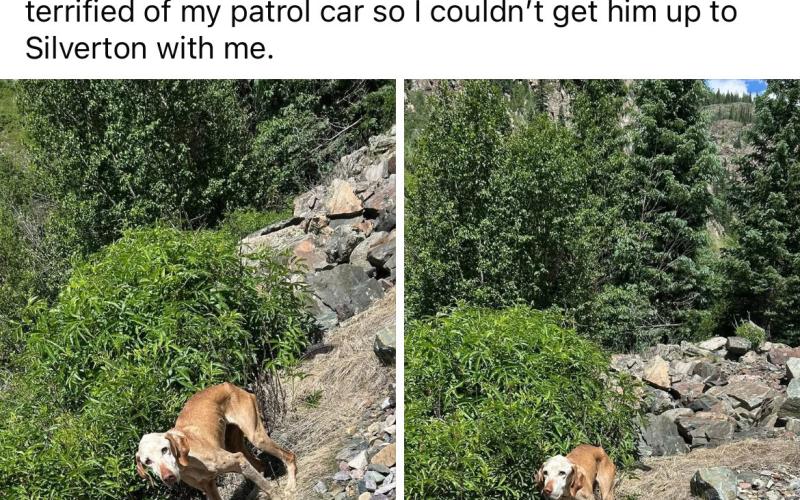 The social media post Jake Dierking made that led to Libby’s rescue