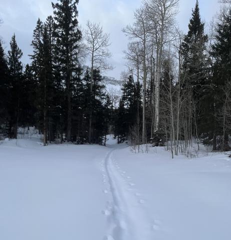 Photo credit Jordan McChesney A path through the snow.