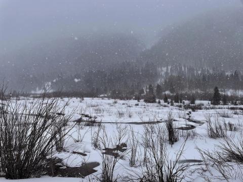 Snowy wetlands surrounding Silverton. Photo credit Janice Sanders