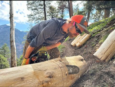 Michael Crockett proprietor of Anthrocene Contracting is removing timber and creating trail stairs out of it. Photo credit Anthrocene Contracting
