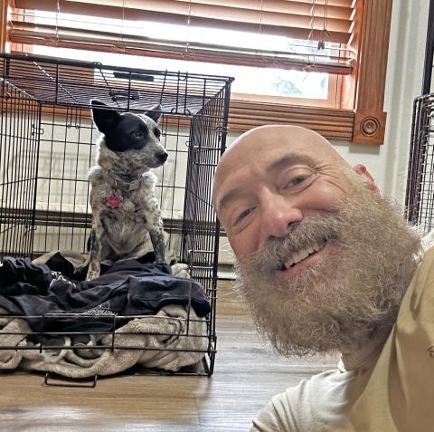 Jimmy Keene traps Luna, the mini heeler that had been missing for 14 days. Photo credit Jimmy Keene