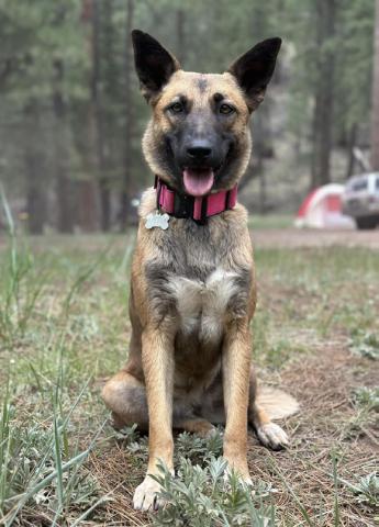 In BrIef