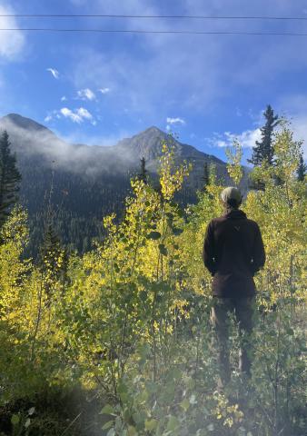 The trees they are a changin’. Photo credit Katey Fetch