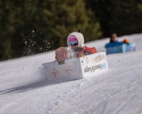 Racer flying down the hill in a box decorated with this year's theme Candy Land. Photo credit Wesley Berg