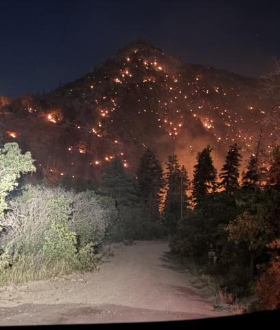 Gold Mountain Fire photo by Elias Smallsreed