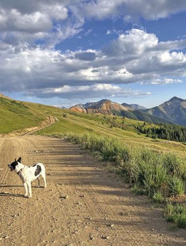 Finding a moment of peace and stillness in the San Juans. Photo credit Scott Fetchenhier