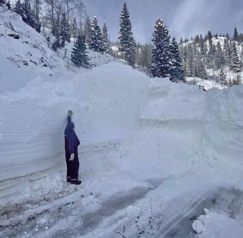 Slide brought down on the Highway 550. Photo by CDOT