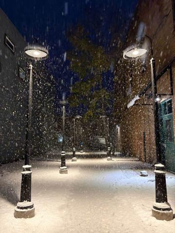 Fresh snow falling in the pocket park next to the bank last week photo by Melanie Bergolc