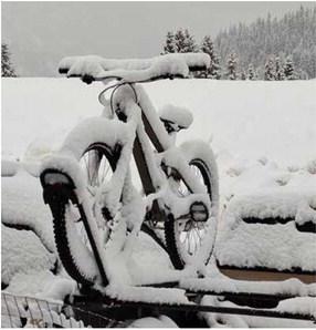 Photo by Emma Schaffrick Spring in the San Juans