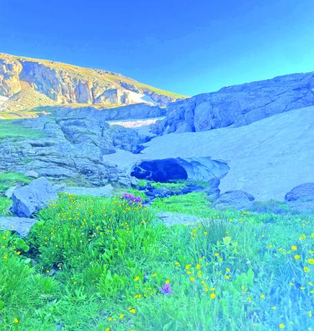 The snow is still here, a cave of snow and mountain wildflowers