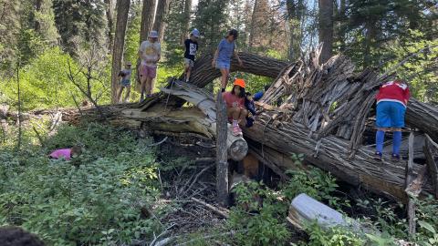 Kids tapping into their curiosity photo by SJMA