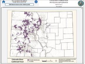 Example of interactive map on CPW website of Colordo Cutthrough Trout Species map on Western Slope of Colorado