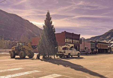 Silverton’s Christmas tree going up on Greene St. Photo Credit Katey Fetch
