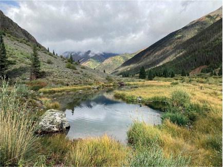 An example of a wetland environment (photo not within the town of Silverton) Photo credit Cameron Crowell