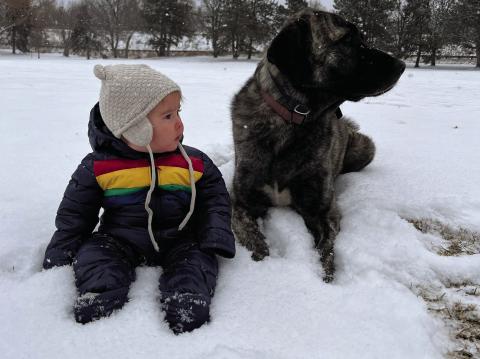 Photo Credit Hannah Kurzweil Luna and Wilde Kurzweil enjoying the New Year in snow.