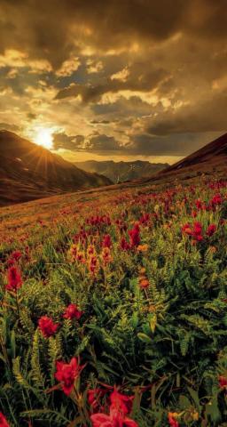 The wonder of summer Photo by Jimmy S. Keene