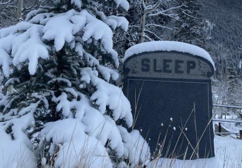 Photo by Hillary Cable Fresh November snow and short days make the Silverton Hillside Cemetery a perfect afternoon walk