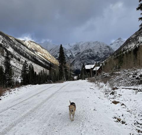 Photo credit Janice Sanders Snow dusting the county roads and dog walks.