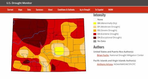 Town of Silverton adopts water restrictions
