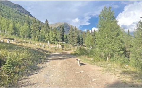The Hillside Cemetery (SJC Historical Society Cemetery Clean-up is this Saturday) Photo Credit Katey Fetch