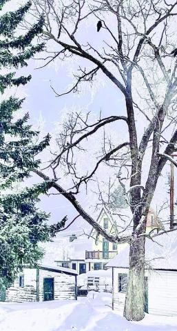 Snowy Silverton Sunday morning. Photo credit Angelina Noble