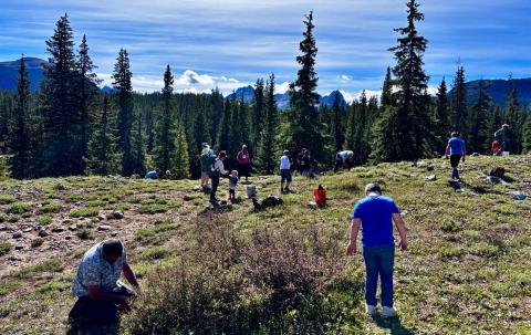 Community group Just Serve does volunteer work at Molas Lake this weekend for the Town of Silverton photo by Just Serve