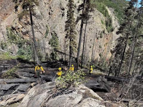 Snow Shed Fore burned out area above Highway 550 between mile marker 87-88. Photo credit Ridgeway Fire Department
