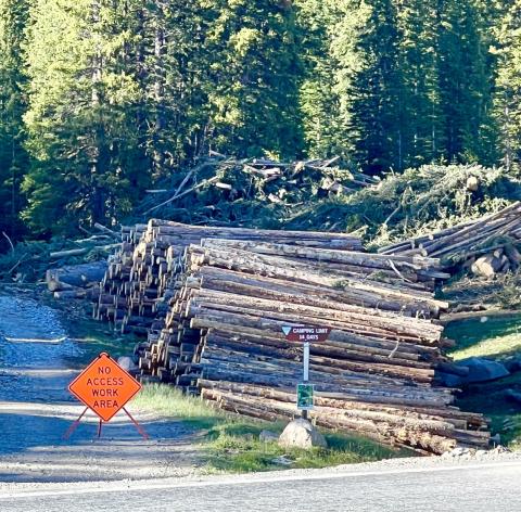 Logs from the US Forest Service land within the vegetation gap being created around the Tri-State transmission lines are being stacked along Highway 550 by helicopter and then will be loaded onto logging trucks for removal. Photo credit DeAnne Gallegos