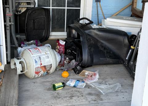 A bear came through Monday night in alley between Mineral and Blair St off of 11st. Time to prepare your trash and bird feeders to be bear proof. Bear season in Silverton has begun! Photos credit Angela McCarthey