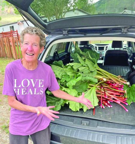 Jackie Kerwin collecting rhubarb from around town to bake her famous