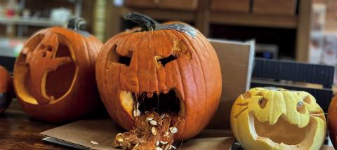 Getting creative while carving pumpkins. Photo courtesy of Silverton Area Chamber of Commerce