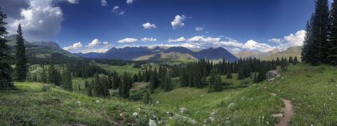 It’s still summer in and around Silverton. Photo credit Scott Fetchenhier