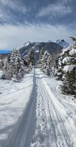 Silverton had a snowy Christmas holiday Photo credit Sharon Lantz. Photo credit Sharon Lantz