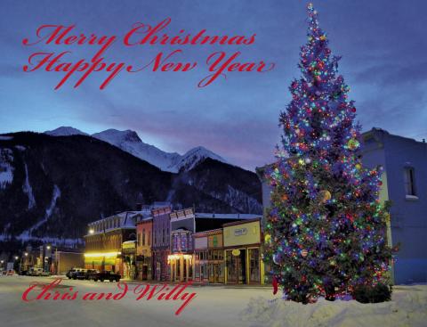 Town Tree. Photo by Chris and Willy Tookey