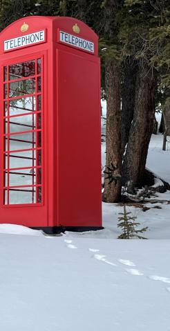 Feb 10, dog tracks leading to the phone booth with none leaving. Photo credit Rick Noble