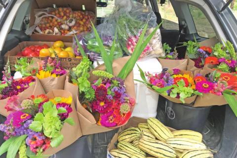 Some of the goodies that can be found at the Farmer’s Market Photo Credit Silverton Standard