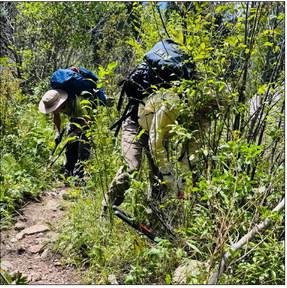 SJMA Volunteers clearing Pine River Trail by MK Thompson