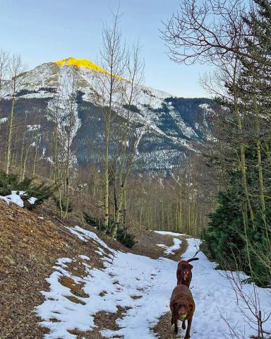Photo Credit Silverton Area Chamber of Commerce Some perimeter trails are still passable like the Rainbow Trail on the Northwest end of town.
