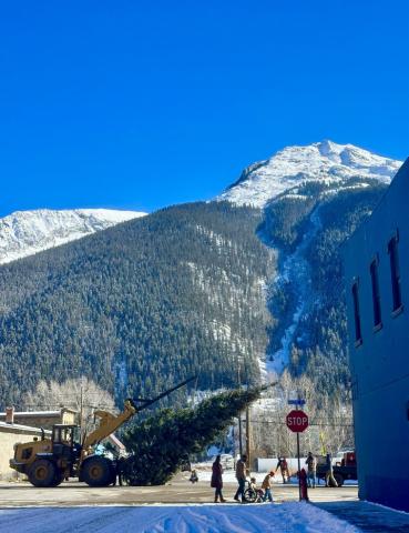 Photo by Bruce Conrad The Town of Silverton Christmas tree went up on Monday, just in time for the Thanksgiving