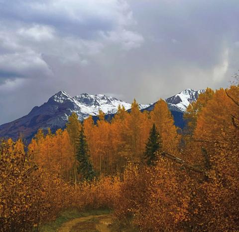 Winter is coming. Photo credit Blair Tice.