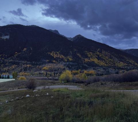 Save Silverton’s Wetlands? Clearing Up Debate Over Town’s Natural Resource