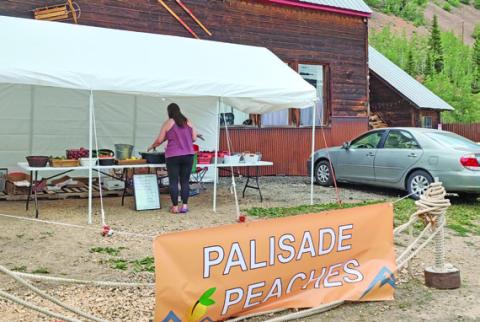 Farm Fresh Produce Mon-Friday, 10am-6pm at the Columbine Roadhouse Photo by Emma Schaffrick